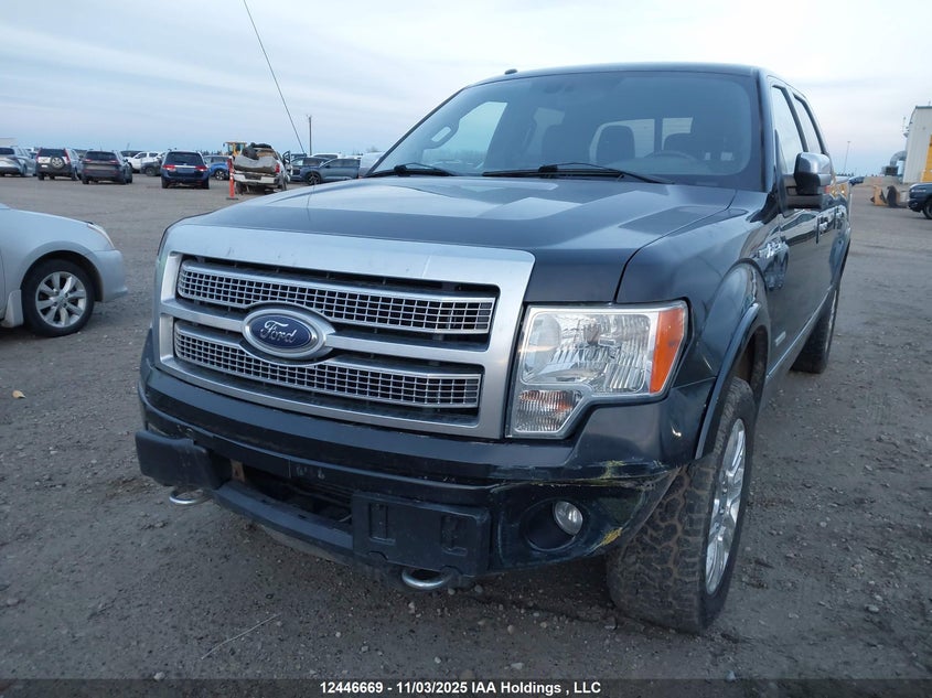 1FTFW1ET7BFB74102 2011 FORD F-150 photo no. 6