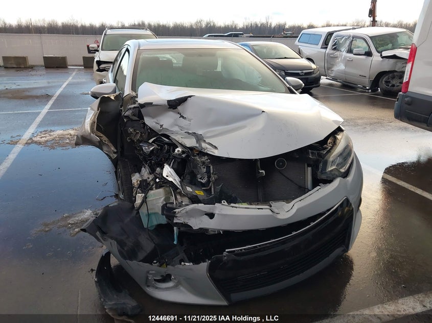 2016 Toyota Corolla L/Le/Le Pls/Prm/S/S Pls VIN: 2T1BURHEXGC614264 Lot: 12446691