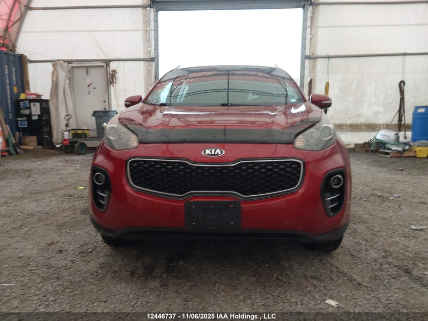 2017 Kia Sportage Ex/Ex Premium/Ex Tech VIN: KNDPNCAC0H7126727 Lot: 12446737