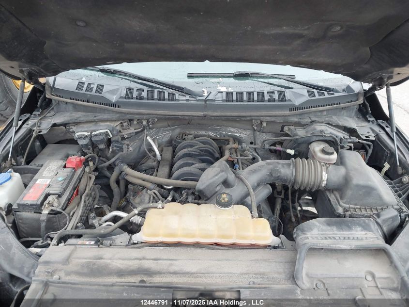 2017 Ford F150 Supercrew VIN: 1FTFW1EF4HFB57227 Lot: 12446791