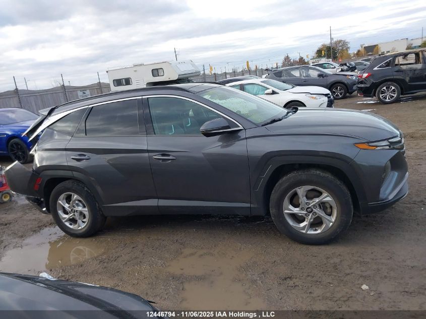 2022 Hyundai Tucson Sel VIN: KM8JCCAE1NU034497 Lot: 12446794