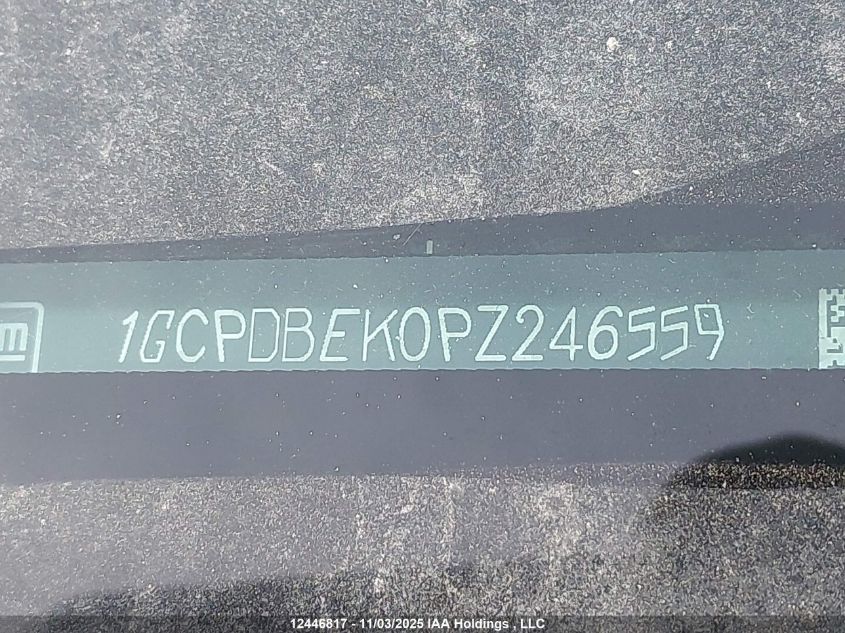 2023 Chevrolet Silverado 1500 Custom VIN: 1GCPDBEK0PZ246559 Lot: 12446817