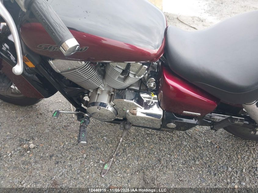 2004 Honda Vt750 Ca VIN: JH2RC50574K010257 Lot: 12446915