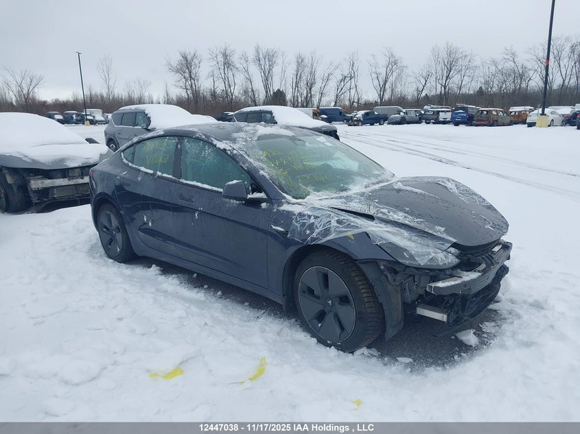 5YJ3E1EB7PF681140 2023 TESLA MODEL 3 photo no. 3