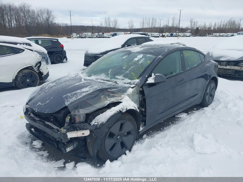 5YJ3E1EB7PF681140 2023 TESLA MODEL 3 photo no. 2