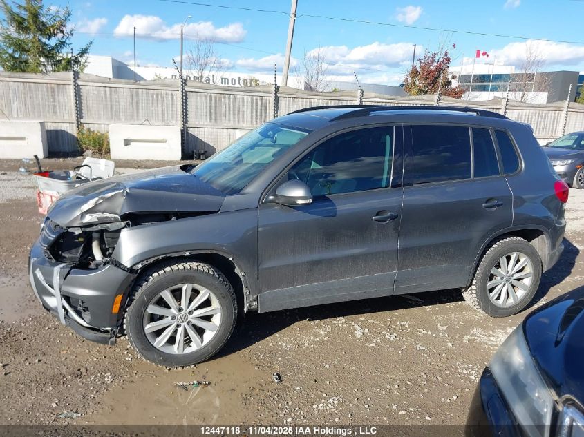 2016 Volkswagen Tiguan Comfortline/Highline/Special Edition VIN: WVGJV7AXXGW066259 Lot: 12447118