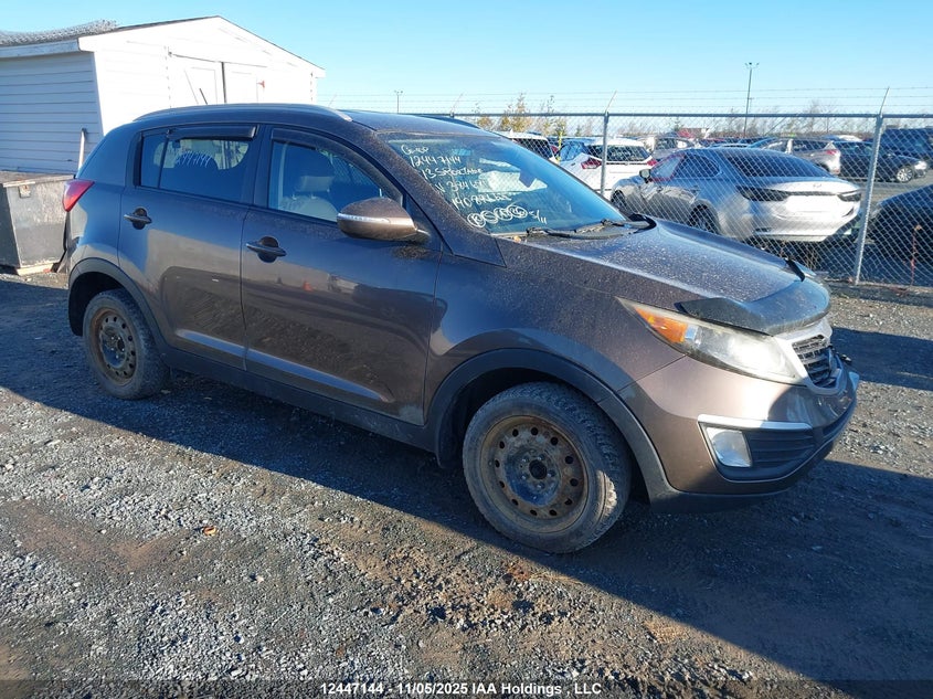 KNDPB3A26D7384681 2013 Kia Sportage Lx auction photo 1