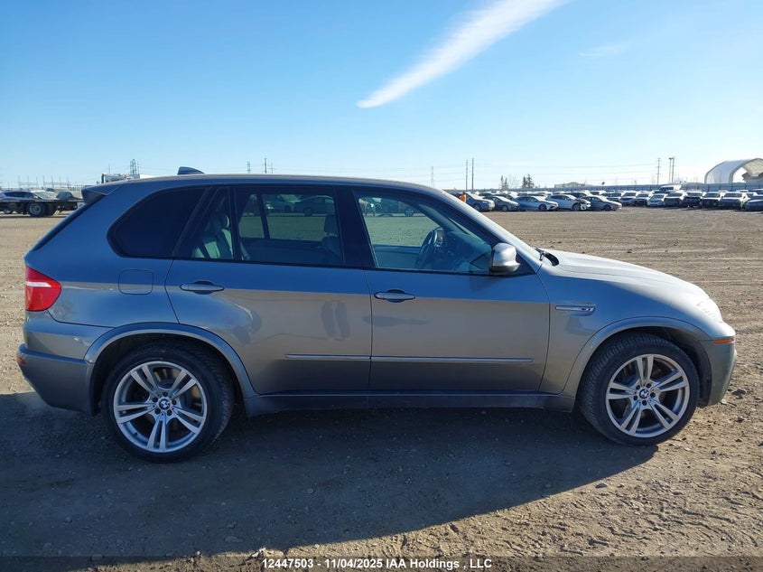 5YMGY0C57ALK26008 2010 BMW X5 M photo no. 14