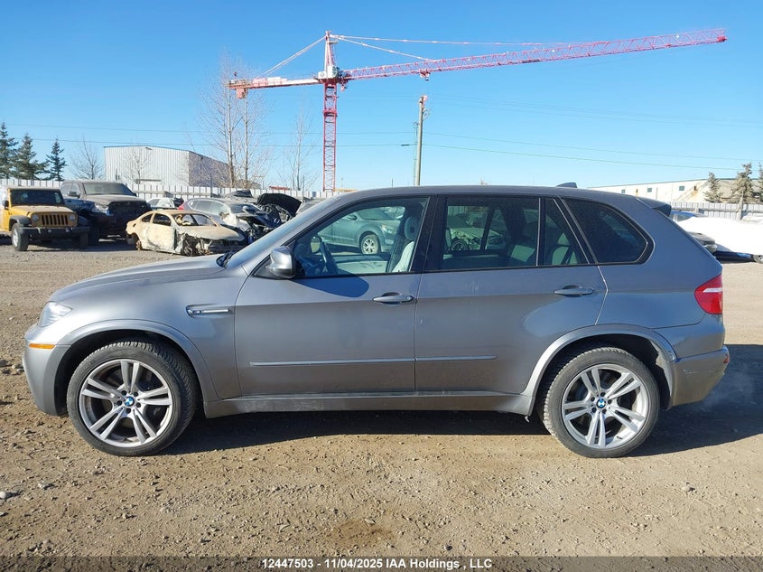 5YMGY0C57ALK26008 2010 BMW X5 M photo no. 15