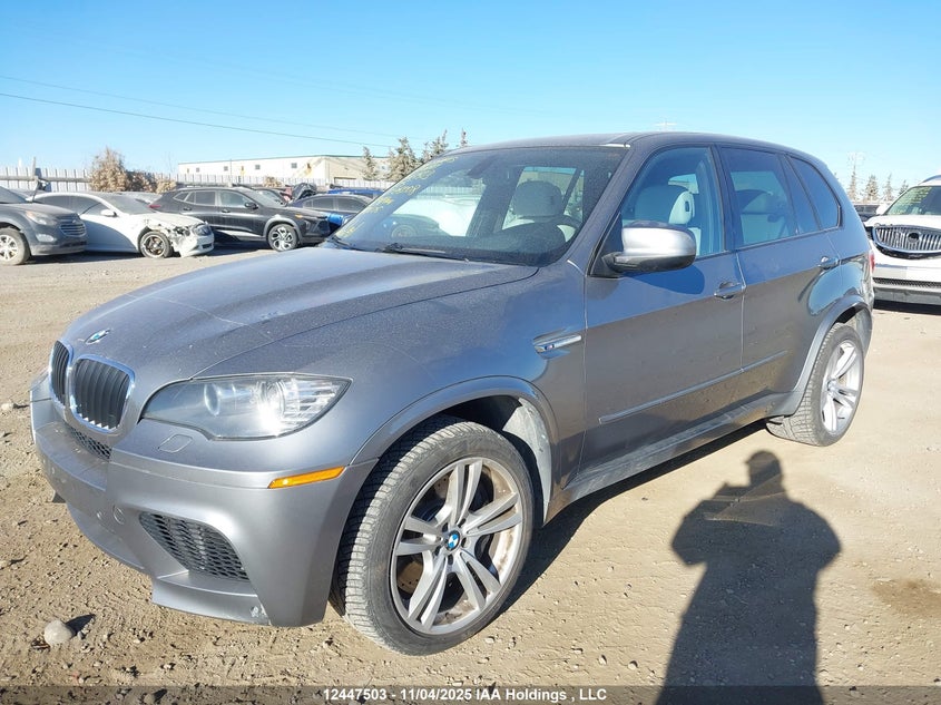 5YMGY0C57ALK26008 2010 BMW X5 M photo no. 2