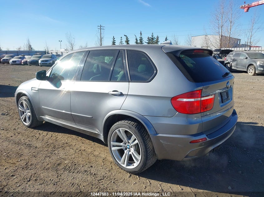 5YMGY0C57ALK26008 2010 BMW X5 M photo no. 3