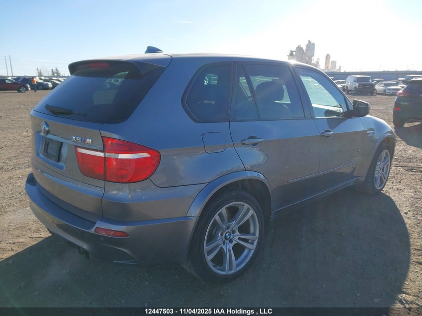 5YMGY0C57ALK26008 2010 BMW X5 M photo no. 4
