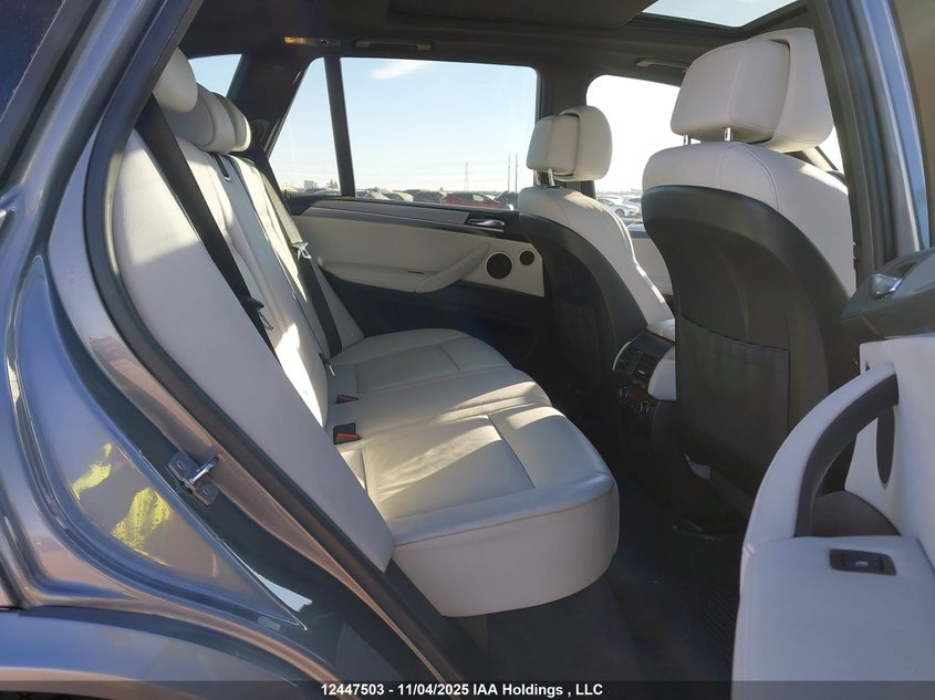 5YMGY0C57ALK26008 2010 BMW X5 M photo no. 8