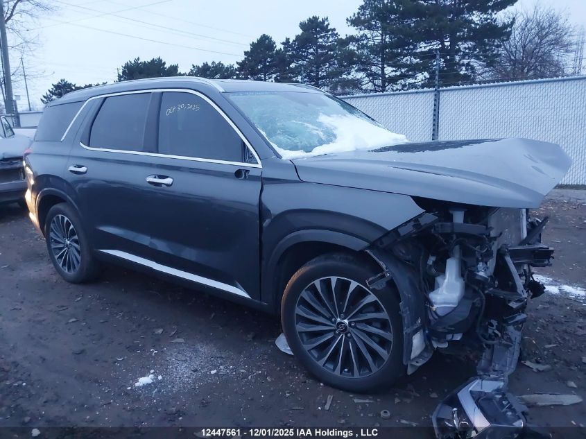 2025 Hyundai Palisade Ultimate Calligraphy VIN: KM8R5DGE4SU813169 Lot: 12447561
