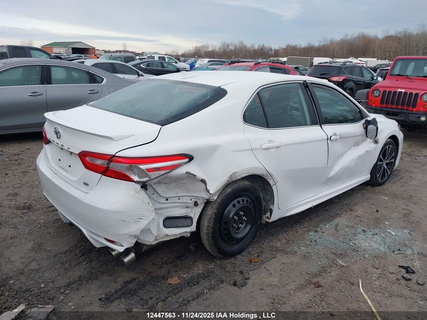 4T1J11AK2LU889870 2020 TOYOTA CAMRY photo no. 4