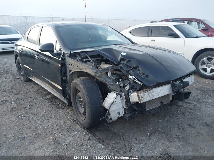 2020 Hyundai Sonata Ultimate VIN: 5NPEH4J2XLH016378 Lot: 12447592