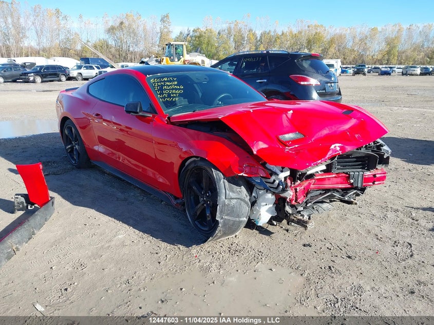 FORD MUSTANG ECOBOOST