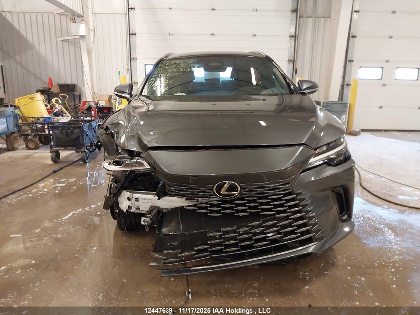 Auction sale of the 2024 LEXUS RX , vin: 2T2BBMCA5RC048316, lot number: 12447639