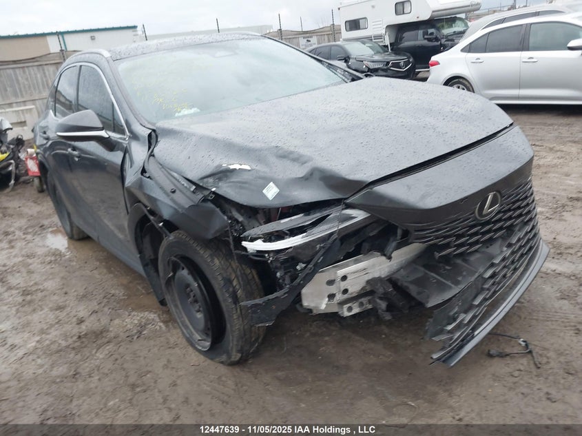 Auction sale of the 2024 LEXUS RX , vin: 2T2BBMCA5RC048316, lot number: 12447639