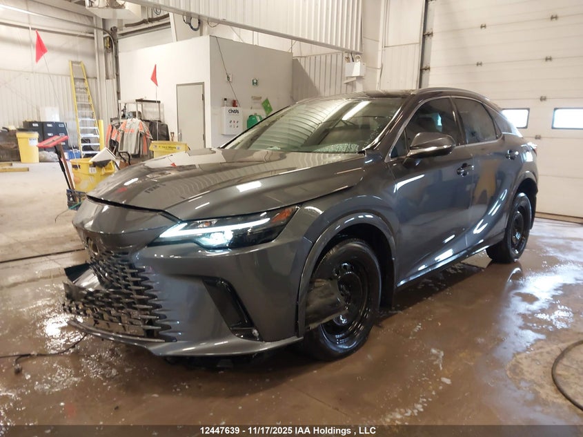 Auction sale of the 2024 LEXUS RX , vin: 2T2BBMCA5RC048316, lot number: 12447639