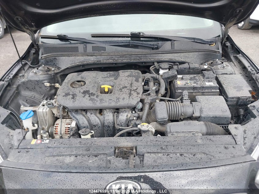 2020 Kia Forte Lx VIN: 3KPF24ADXLE208427 Lot: 12447659