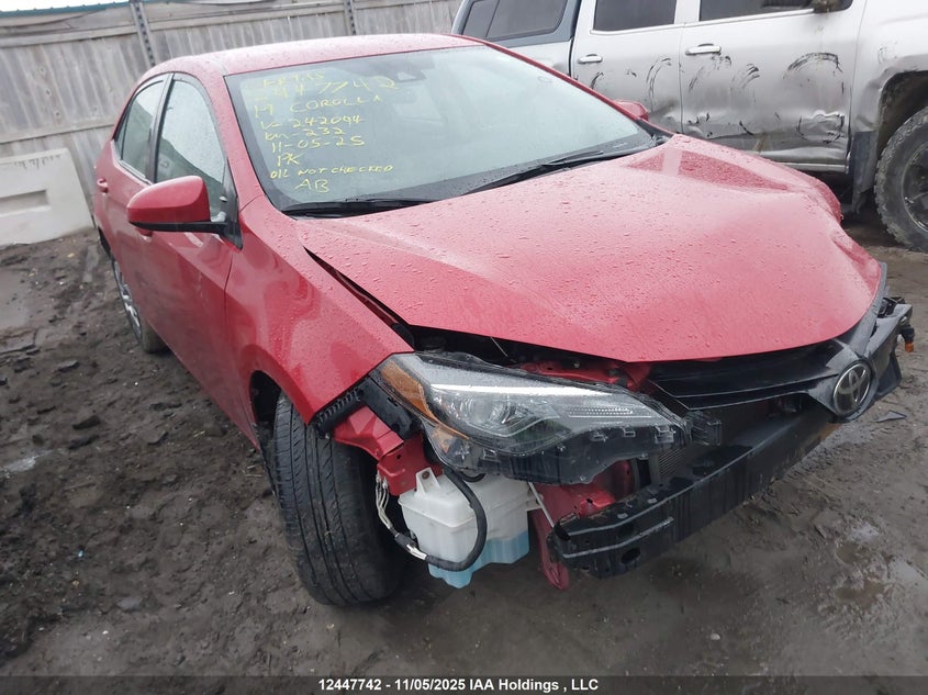 2T1BURHE1KC242094 2019 Toyota Corolla L/Le/Xle/Se/Xse auction photo 1