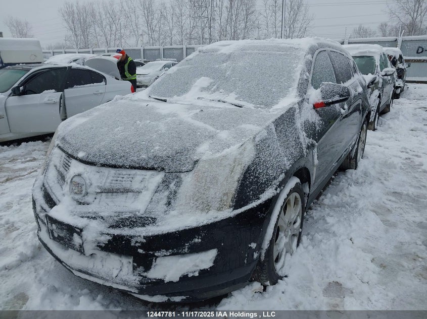 2011 Cadillac Srx VIN: 3GYFNFEY1BS662527 Lot: 12447781