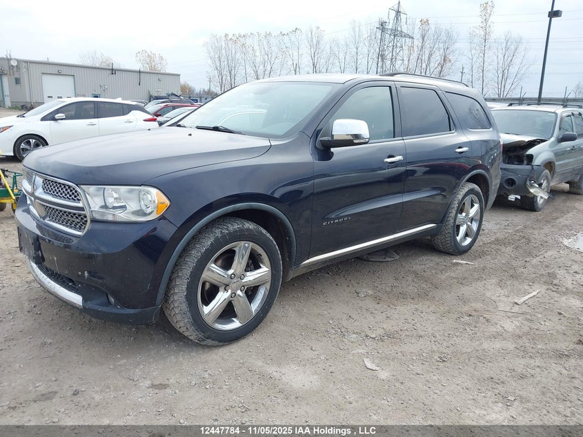 1D4SE5GT7BC699140 2011 DODGE DURANGO photo no. 2