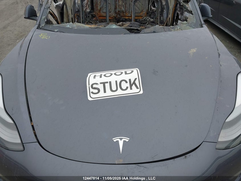 2023 Tesla Model 3 Long Range VIN: LRW3E1EB7PC943233 Lot: 12447814