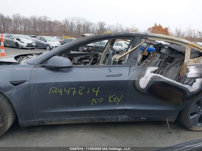 2023 Tesla Model 3 Long Range VIN: LRW3E1EB7PC943233 Lot: 12447814