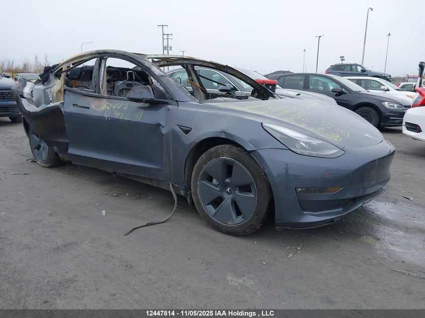 LRW3E1EB7PC943233 2023 TESLA MODEL 3 photo no. 2