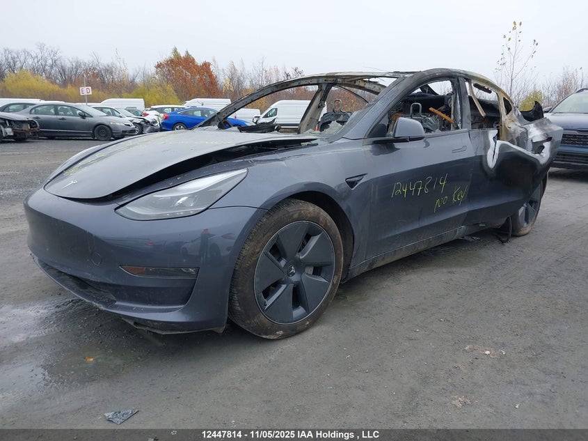 LRW3E1EB7PC943233 2023 TESLA MODEL 3 photo no. 2