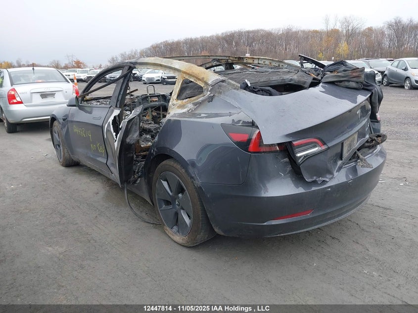 LRW3E1EB7PC943233 2023 TESLA MODEL 3 photo no. 3