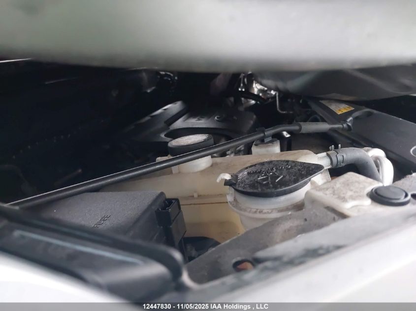 2017 Toyota Rav4 Xle VIN: 2T3RFREV1HW556324 Lot: 12447830