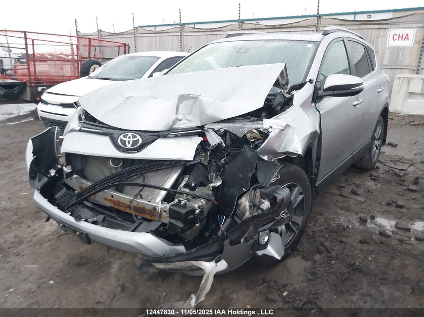 2T3RFREV1HW556324 2017 TOYOTA RAV 4 photo no. 2
