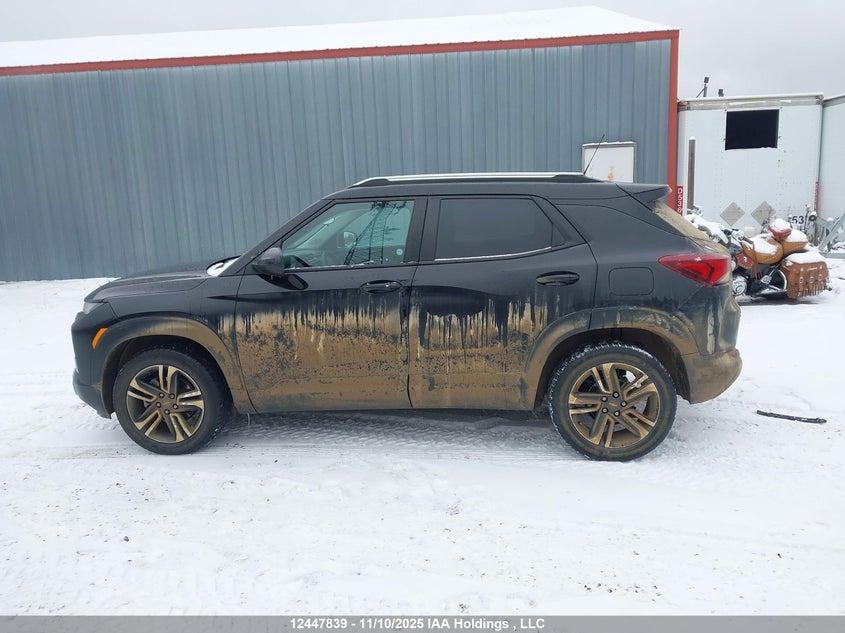 2021 Chevrolet Trailblazer VIN: KL79MRSL1MB081539 Lot: 12447839