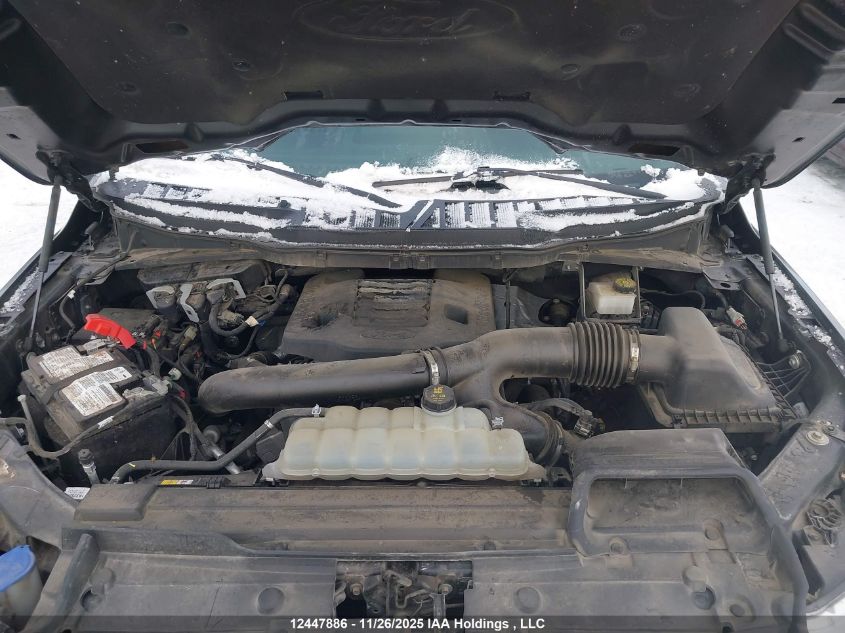 2021 Ford F-150 Platinum VIN: 1FTFW1E86MFB73991 Lot: 12447886