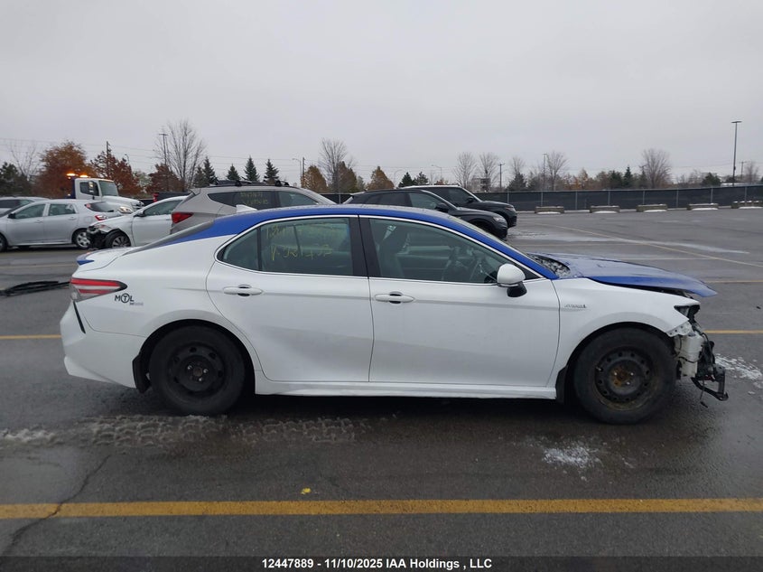 2019 Toyota Camry Hybrid/Le/Xle/Se VIN: 4T1B21HK8KU521439 Lot: 12447889