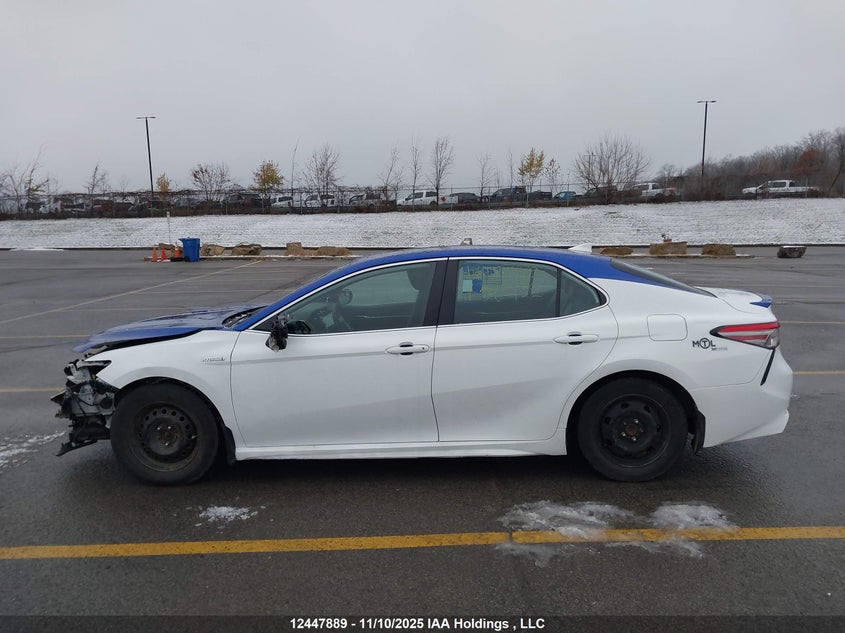 2019 Toyota Camry Hybrid/Le/Xle/Se VIN: 4T1B21HK8KU521439 Lot: 12447889