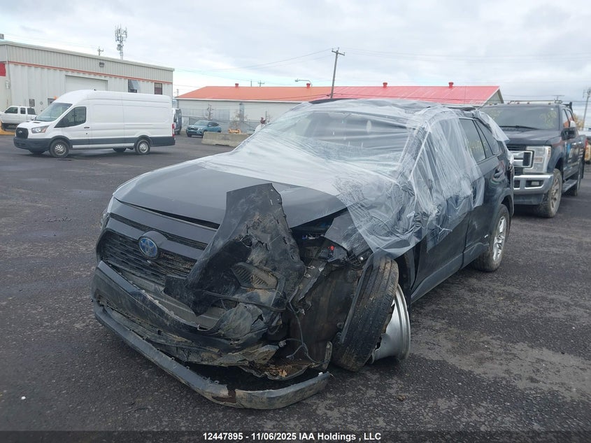 2T3BWRFV6LW094240 2020 TOYOTA RAV 4 photo no. 6