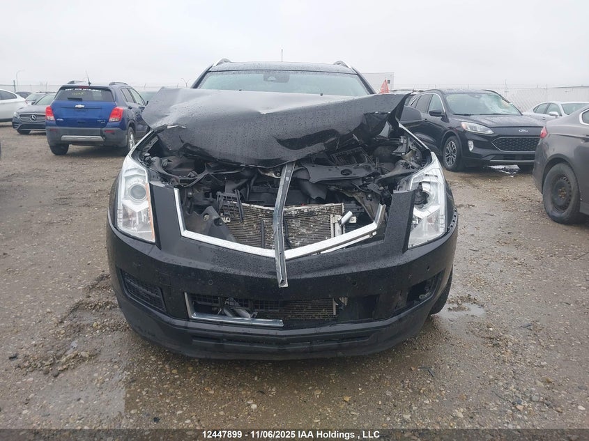 2016 Cadillac Srx Luxury Collection VIN: 3GYFNEE36GS552806 Lot: 12447899