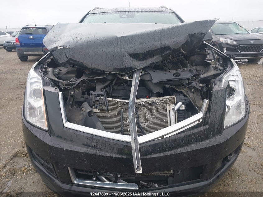 2016 Cadillac Srx Luxury Collection VIN: 3GYFNEE36GS552806 Lot: 12447899