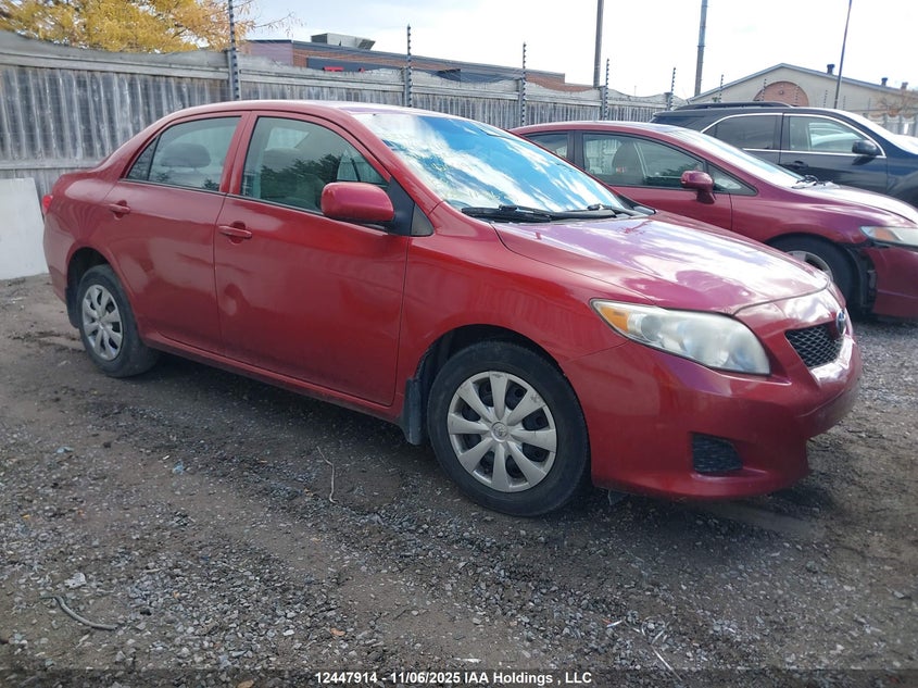 2T1BU4EE6AC420619 2010 Toyota Corolla auction photo 1