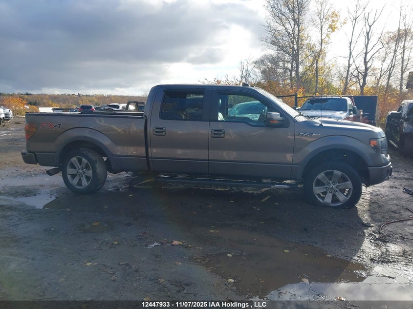 2014 Ford F-150 Fx4 VIN: 1FTFW1EF6EFA33830 Lot: 12447933