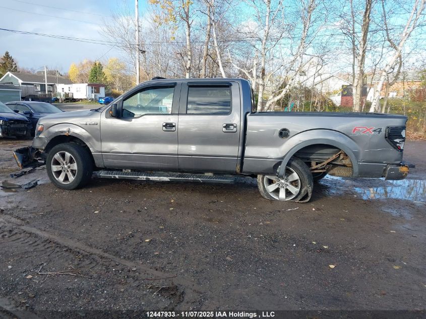 2014 Ford F-150 Fx4 VIN: 1FTFW1EF6EFA33830 Lot: 12447933