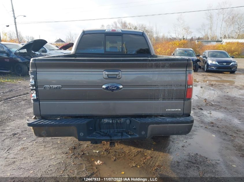2014 Ford F-150 Fx4 VIN: 1FTFW1EF6EFA33830 Lot: 12447933