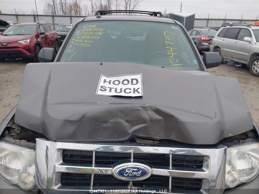 2011 Ford Escape Xlt VIN: 1FMCU0D78BKB76595 Lot: 12447951