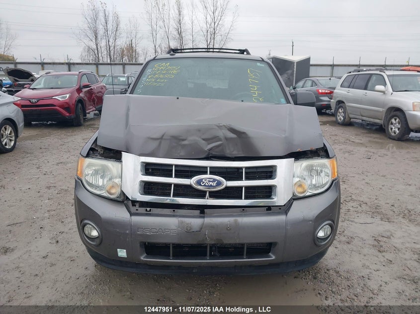 2011 Ford Escape Xlt VIN: 1FMCU0D78BKB76595 Lot: 12447951
