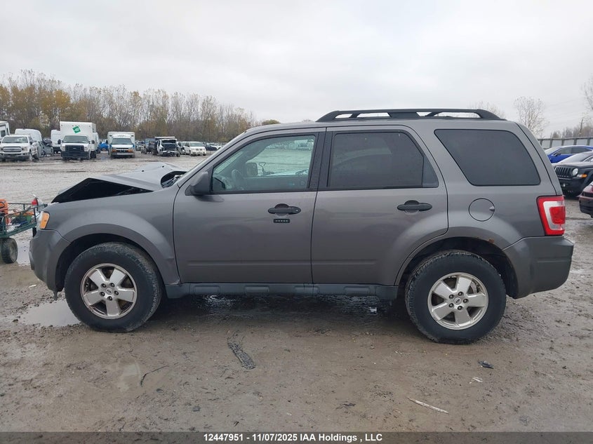 2011 Ford Escape Xlt VIN: 1FMCU0D78BKB76595 Lot: 12447951