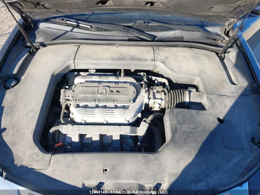 2009 Acura Tl VIN: 19UUA96559A801196 Lot: 12448149